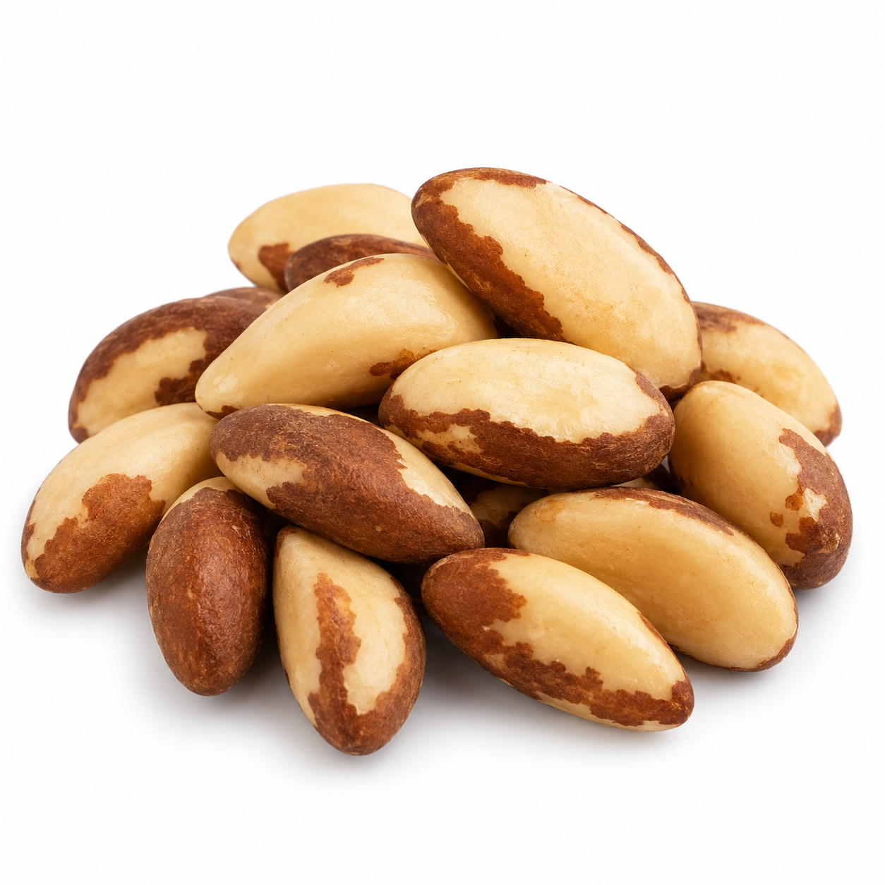 Tiny grade Brazil nuts shown as the smallest available grade
